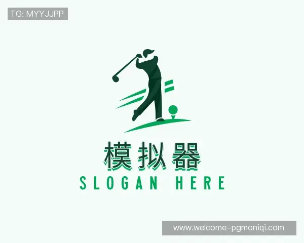 了解pg模拟器